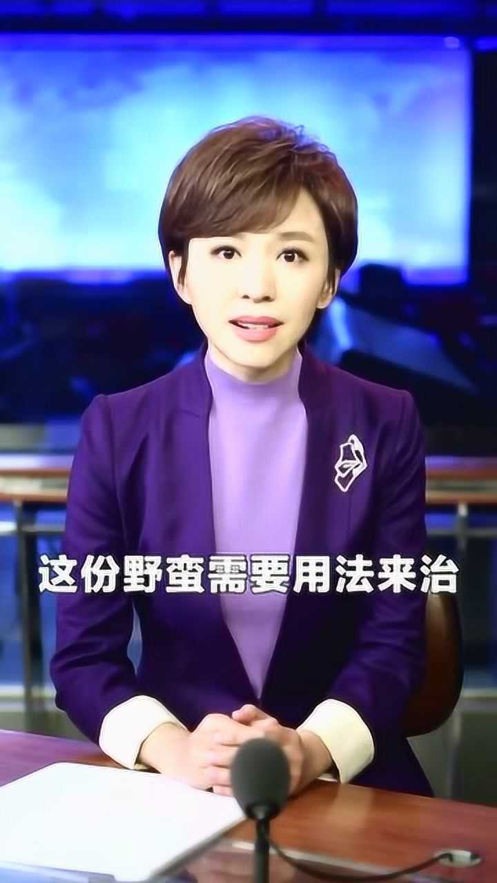 主播说联播年终版2021,主播说联播年终版