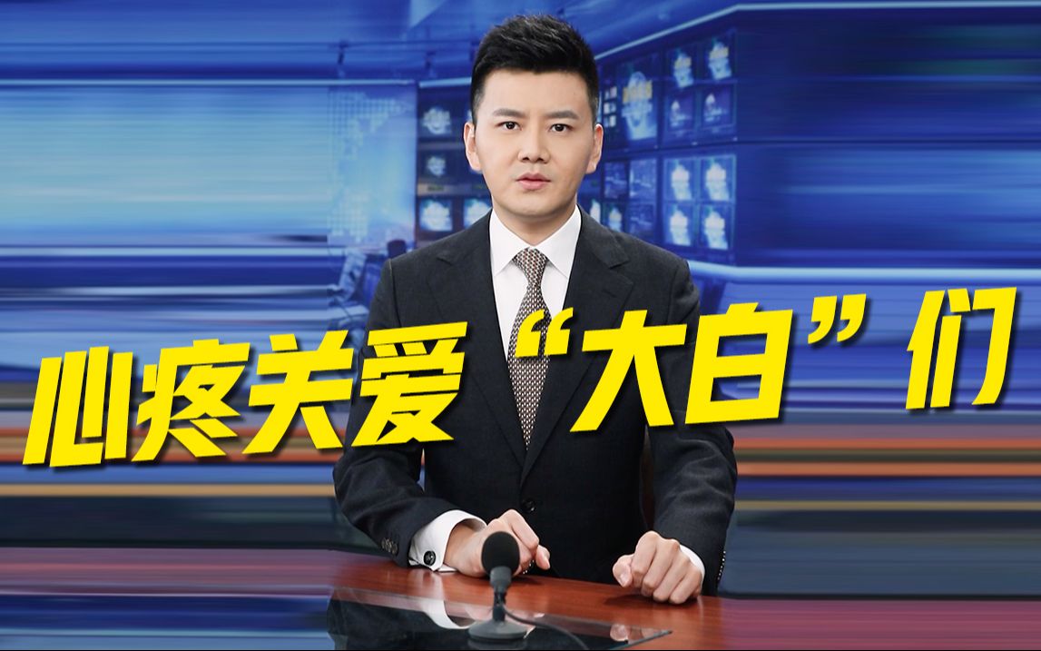 主播说联播文字版(主播说联播文字版淄博烧烤)