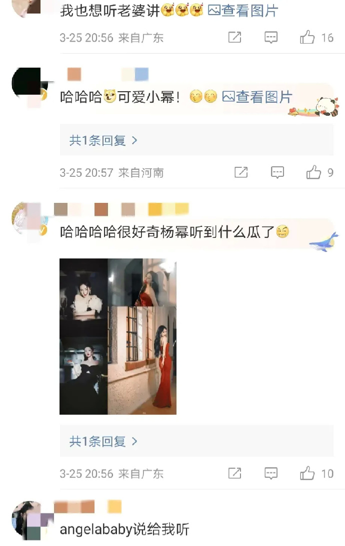 微博网红八卦圈,微博有名的八卦博主