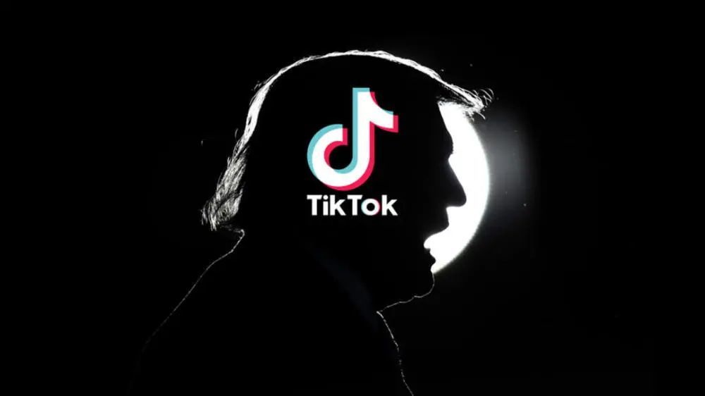 抖音海外版,抖音海外版tiktok下载苹果