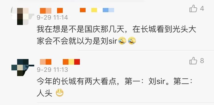 央视主播终于和刘sir见面了视频,央视主播终于和刘sir见面了