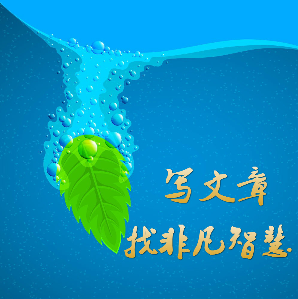 文章润色费用怎么报销,润色一篇文章多少钱