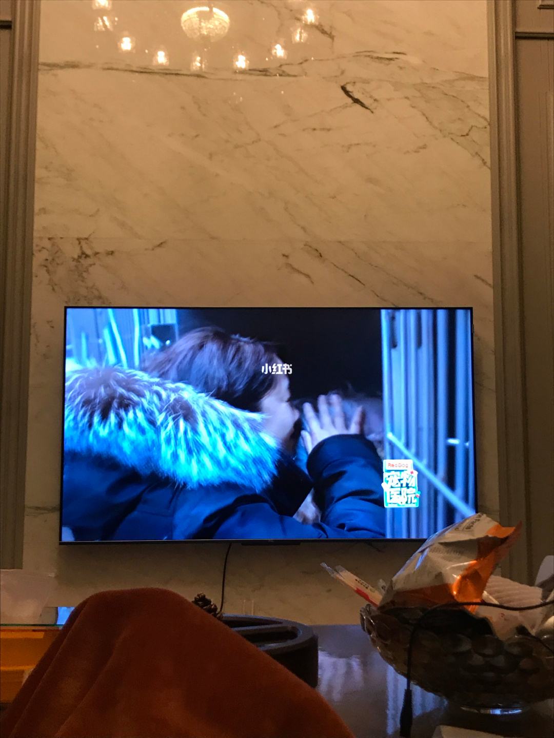 晚上一个人睡不着偷偷看b站直播(晚上一个人睡不着偷偷看b站直播可以吗)