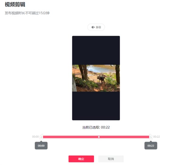 包含国外抖音网页版入口的词条