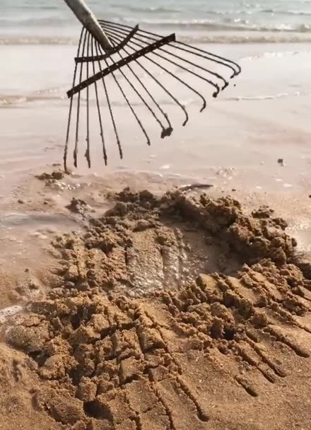 抖音小视频观看赶海(抖音小视频观看赶海怎么拍)