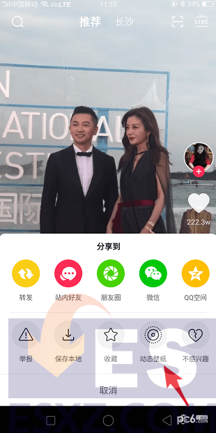 关于抖音短视频网页版在线观看入口的信息