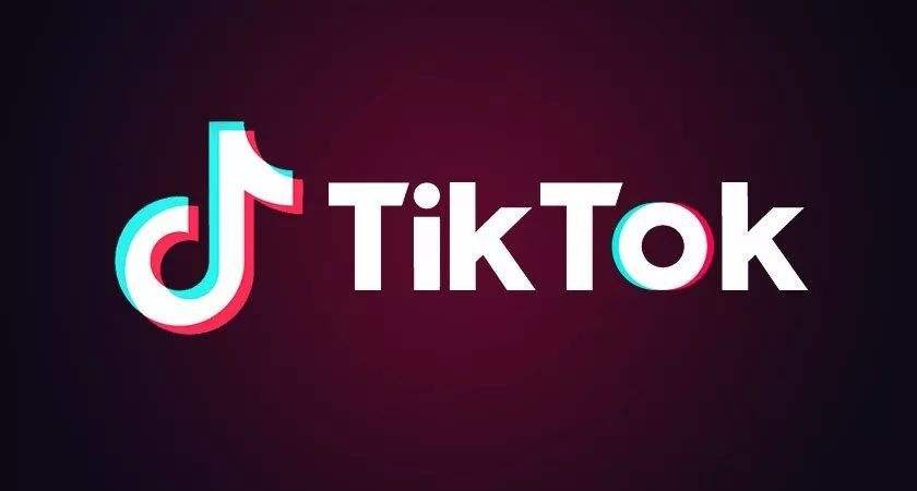 抖音国际版tiktok色板(抖音国际版tiktok色板免费下载)