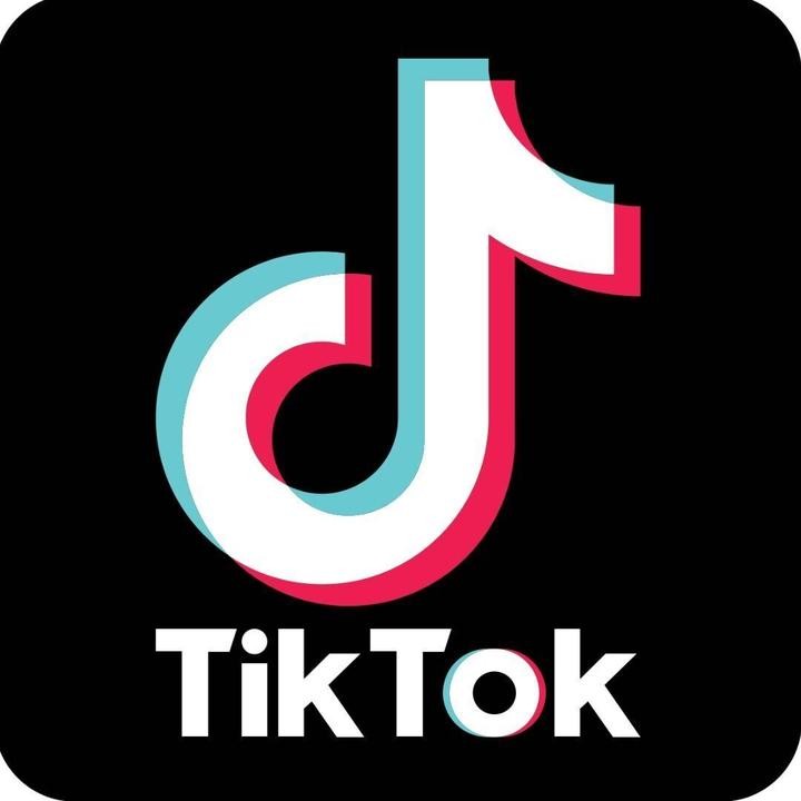 抖音国际版tiktok色板(抖音国际版tiktok色板免费下载)