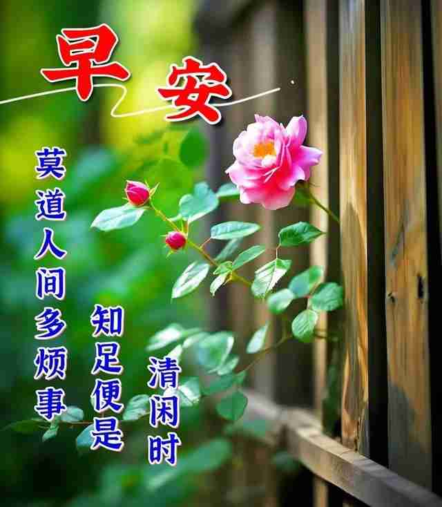 2025早安最火图片漂亮,2025早安最火图片