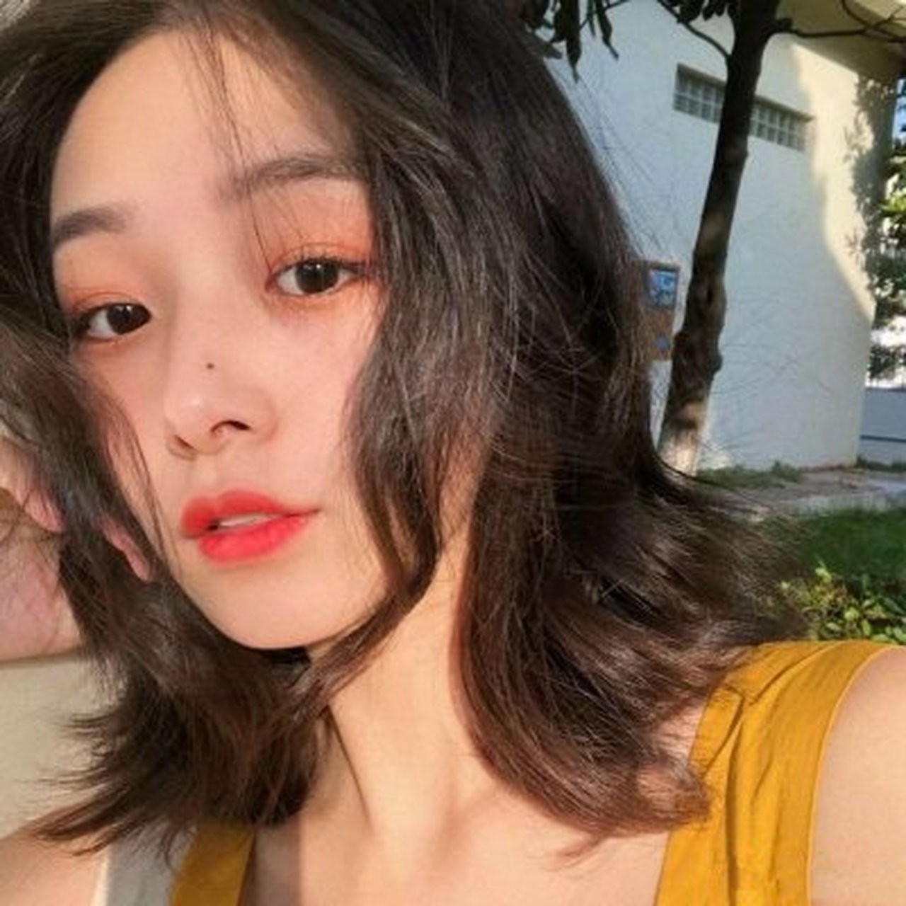 抖音头像图片唯美(抖音头像图片唯美可爱)