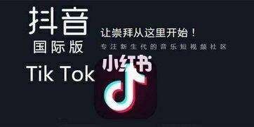 抖音国际版多多app下载,抖音国际版多多官网