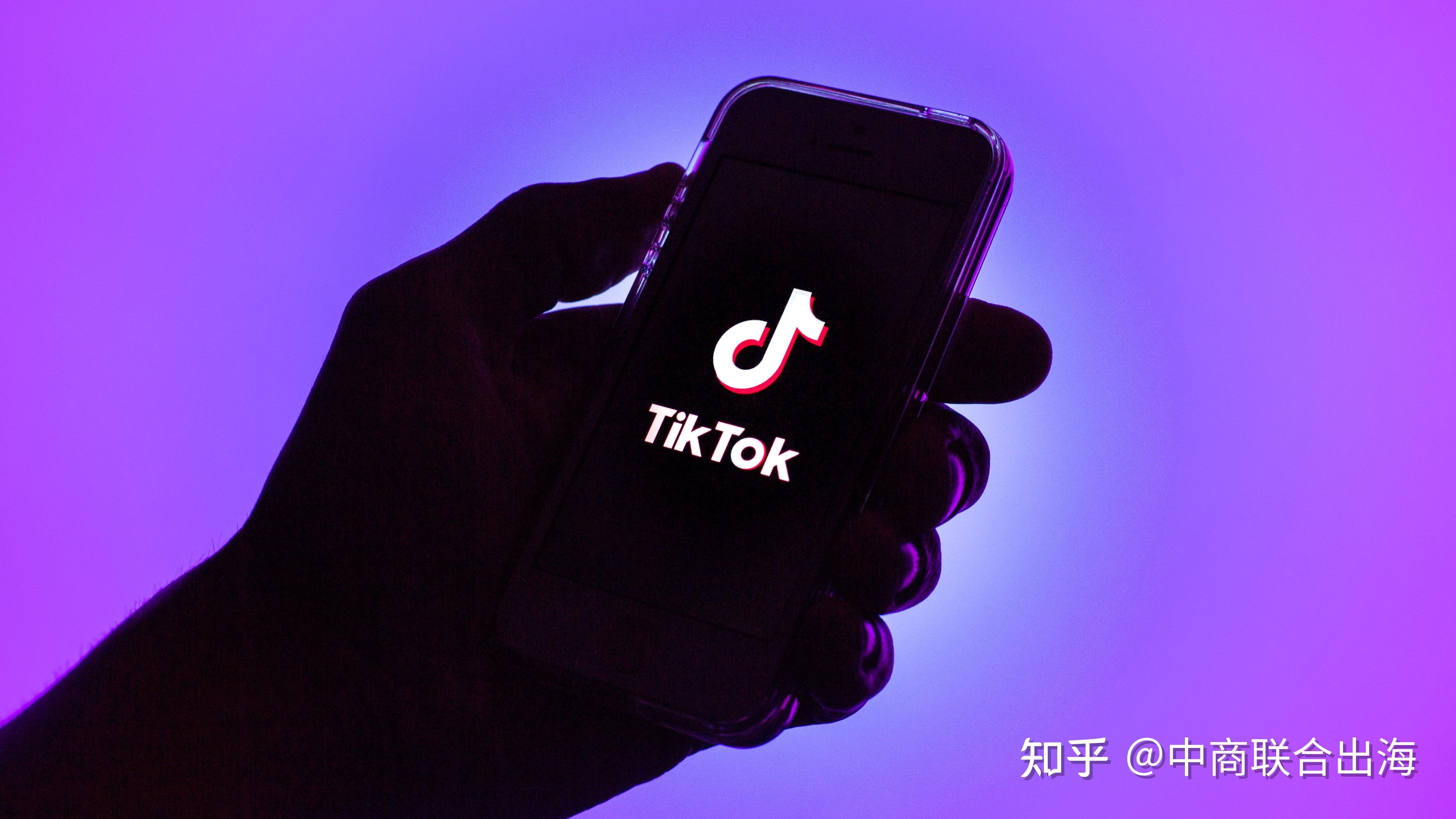 抖音国际版tiktok无需外网(抖音国际版 tiktok怎么没有网络)