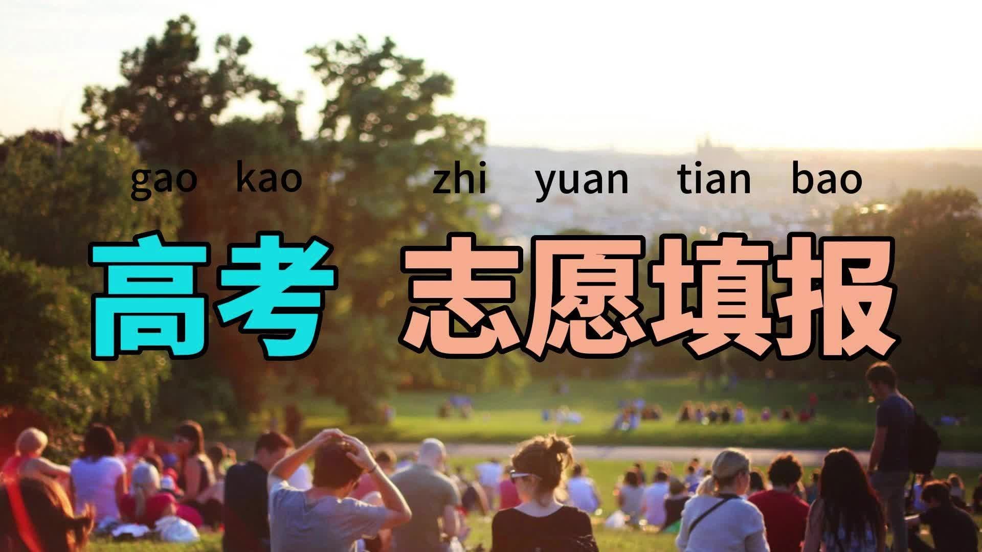 ai免费志愿助手,ai免费助你报志愿