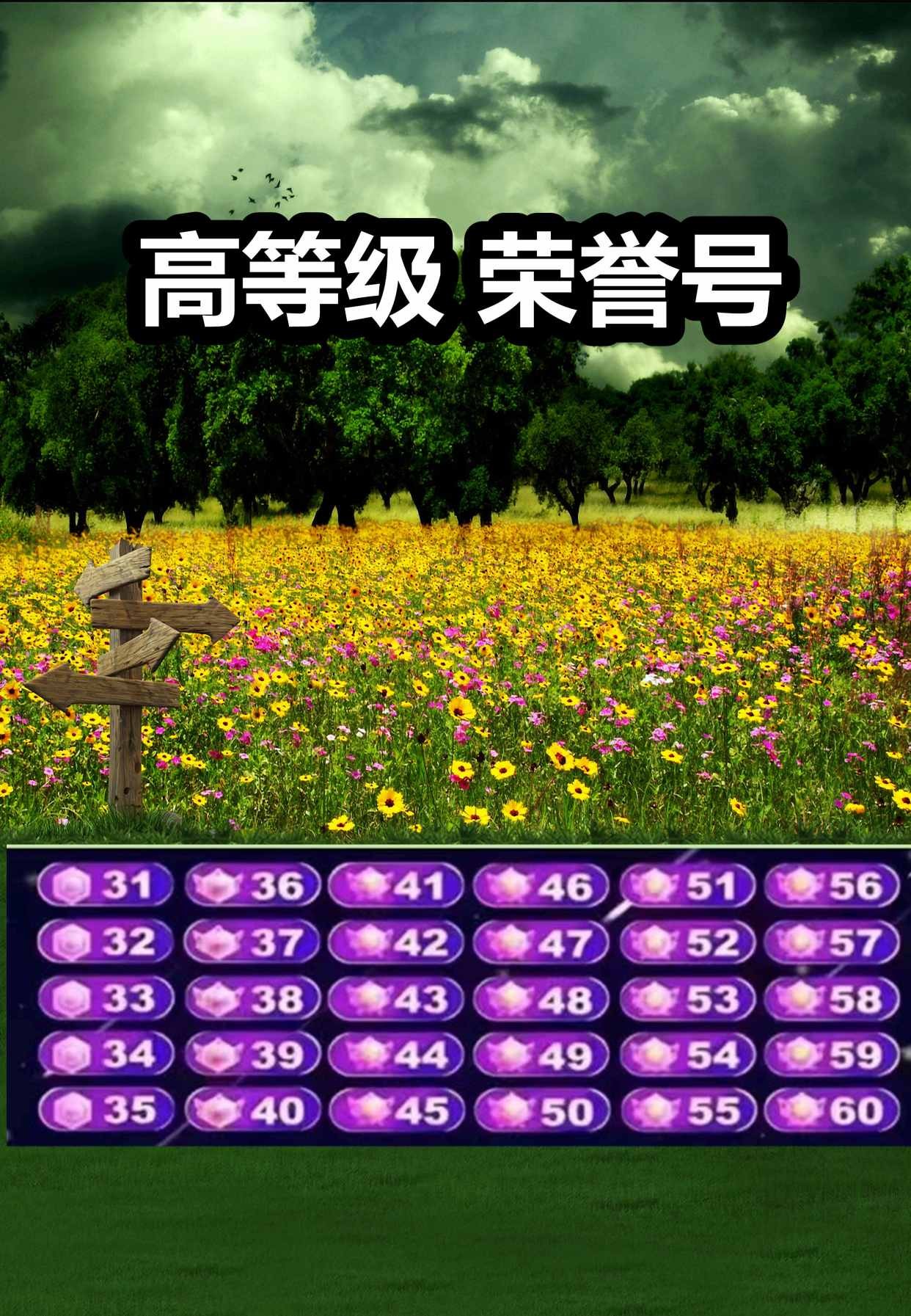 抖音等级图标,抖音等级