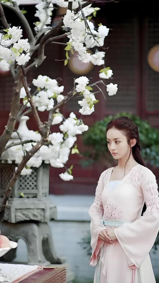 最火的电视剧女演员(最火的十大电视剧演员)