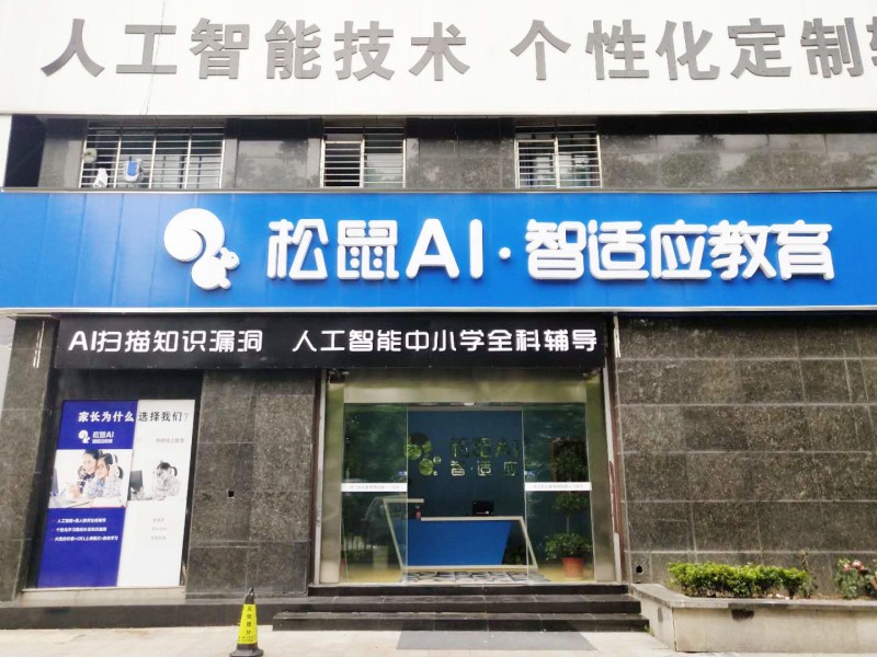 松鼠AI智适应教育软件,松鼠ai智适应教育