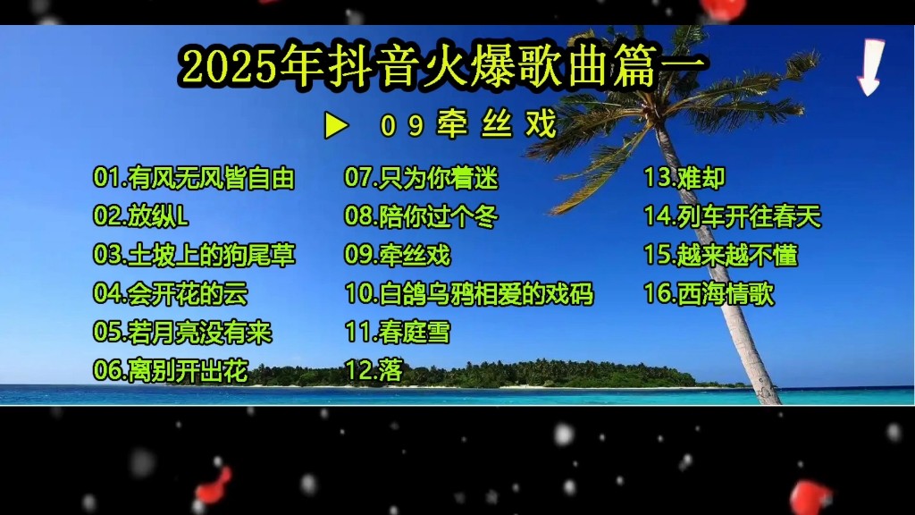 2025最火好听歌曲(202最火的歌曲)