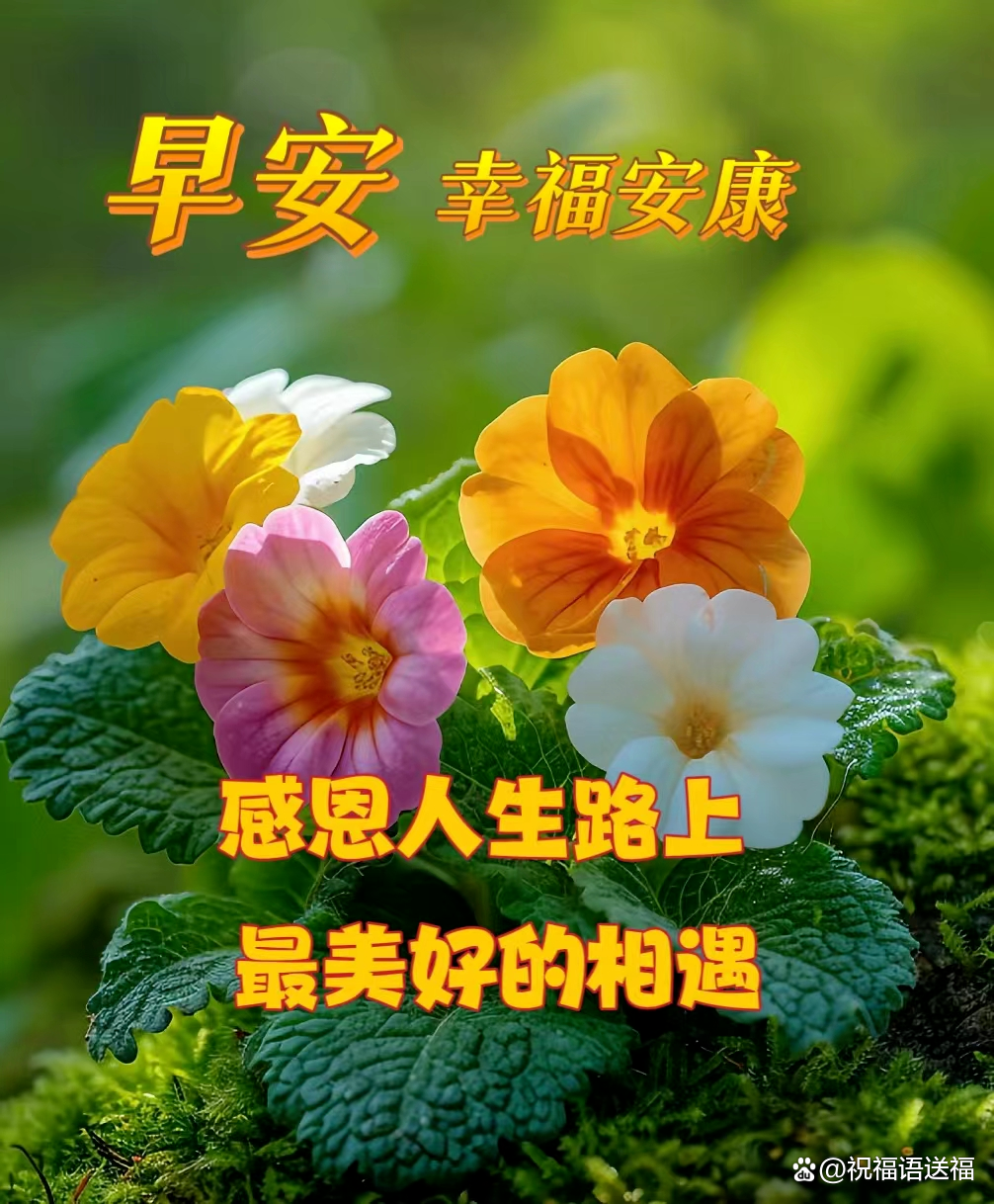 祝福语2025最火句子简短(2020祝福短句)