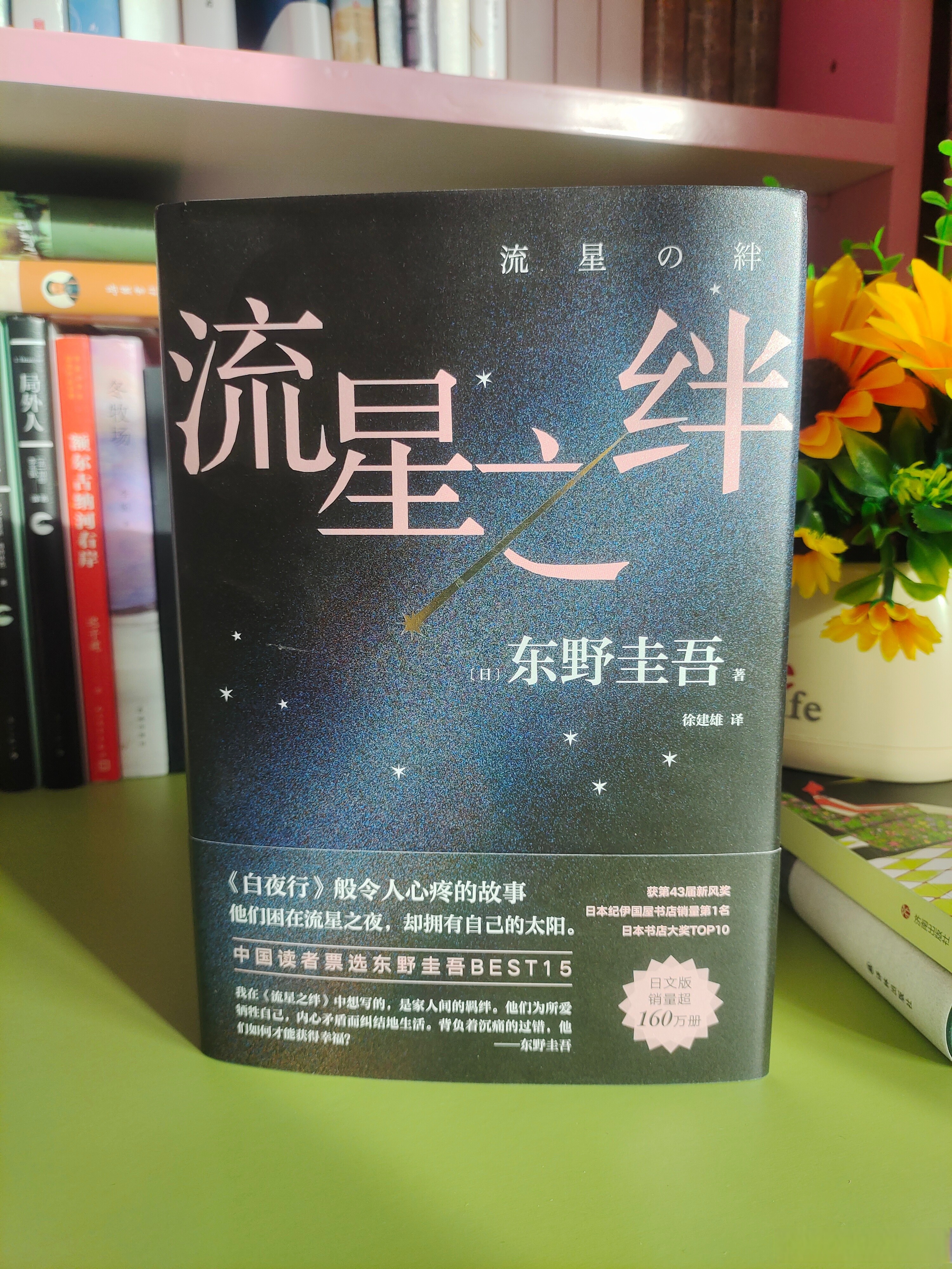 最火的小说排辰东的书名是什么,最火的小说排辰东的书