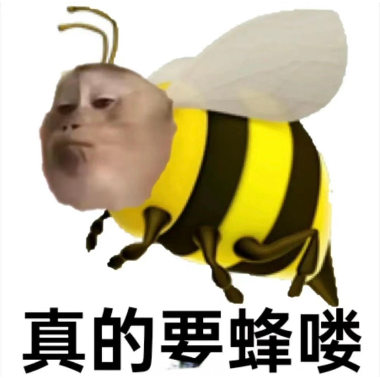 抖音蚂蚁呀嘿特效app,抖音蚂蚁呀嘿特效