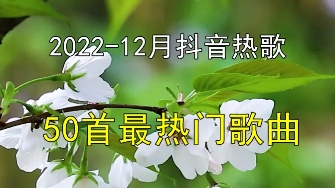 抖音我们还有好多好多年是哪首歌(抖音我们还有好多好多年是什么歌曲)