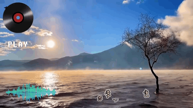 抖音动态壁纸(抖音动态壁纸怎么保存到相册)