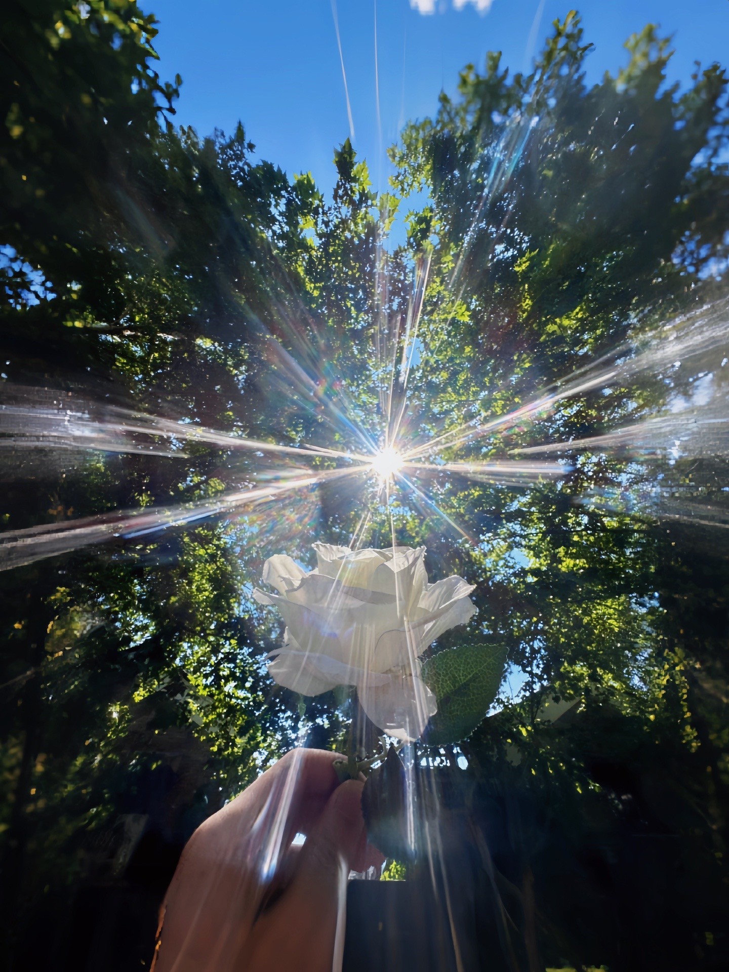 抖音晨曦姐姐小视频51y,抖音晨曦