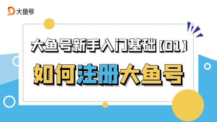 大鱼号官网,大鱼号