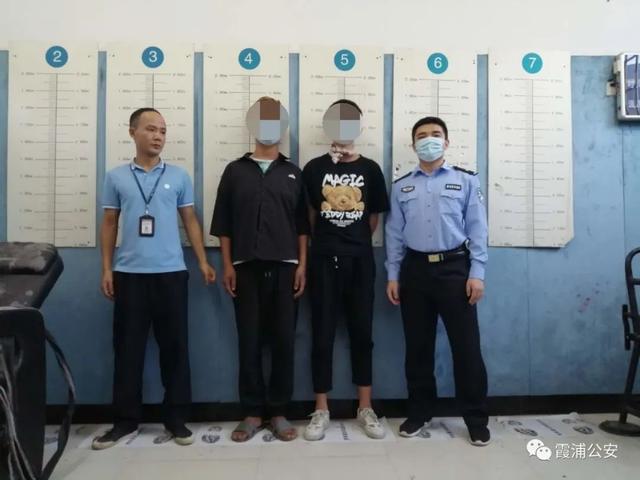 郑某燕散播了什么消息,郑某燕散播了什么