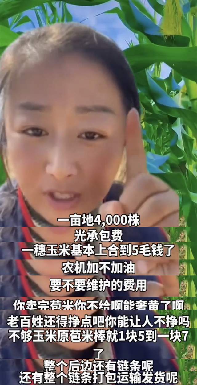网红辛巴的家乡,网红辛巴玉米